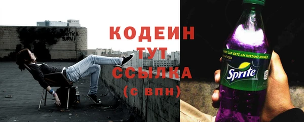 хмурый Семилуки
