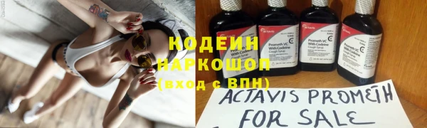 прущие грибы Семёнов