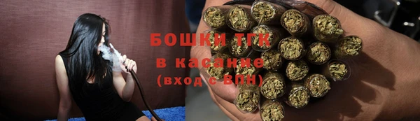 хмурый Семилуки