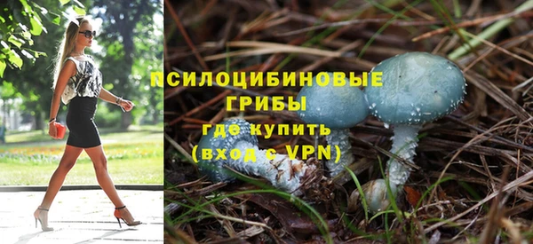 прущие грибы Семёнов