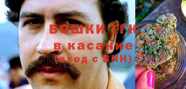 прущие грибы Семёнов