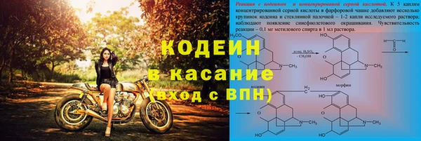 хмурый Семилуки