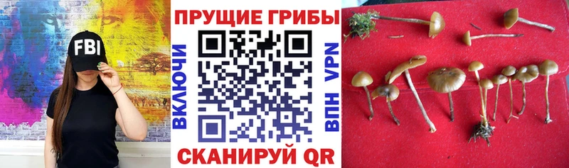 Псилоцибиновые грибы GOLDEN TEACHER  mega вход  Спас-Деменск 