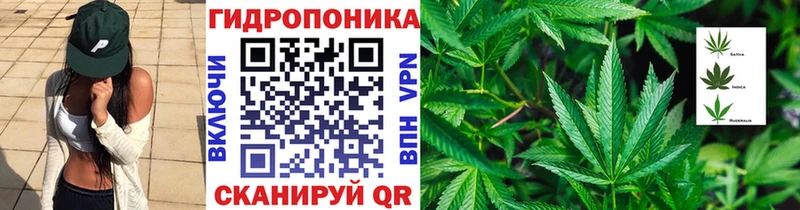 Шишки марихуана марихуана Спас-Деменск